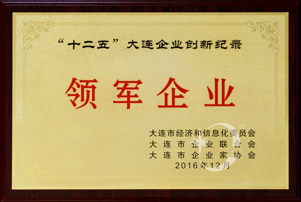 创新纪录领军企业.jpg