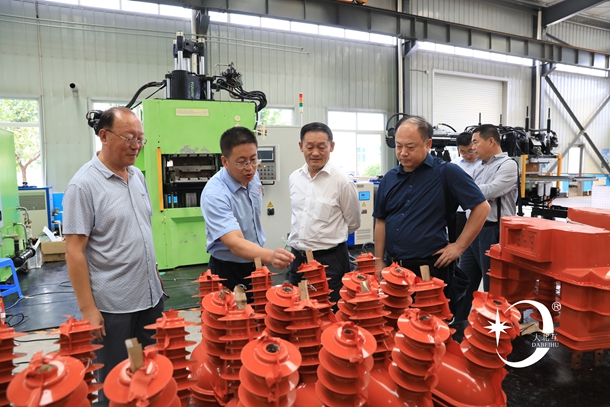 中电协领导来企调研.jpg